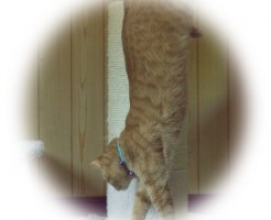 12942874e6732f1a51d911135a971395_s