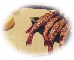 5177ddd85704d534ee2f246e75297613_s