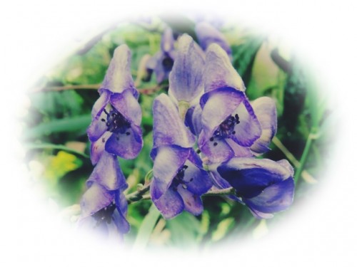 4153f051f940fd23b83762b66d743b5e_s