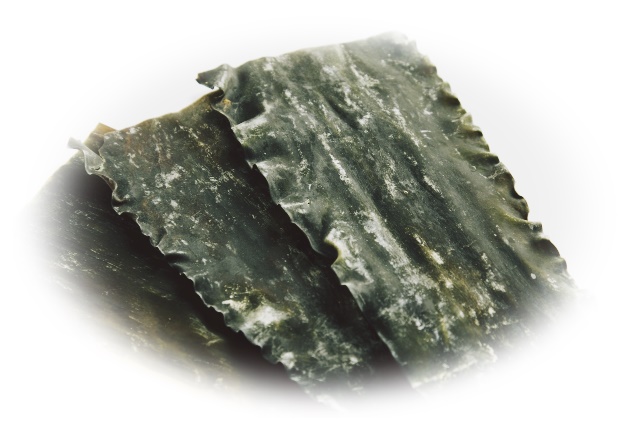 ad173dce4af95dade49cd545b1cc2dd6_s